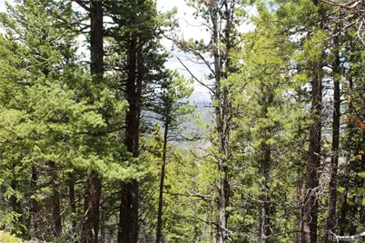 16564A Pennsylvania, Idaho Springs, CO 80461 - Photo 8
