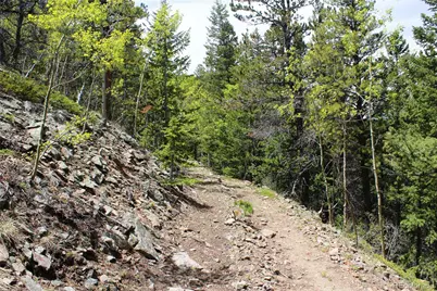 16564A Pennsylvania, Idaho Springs, CO 80461 - Photo 10