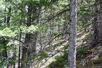 16564A Pennsylvania, Idaho Springs, CO 80461 - Photo 14