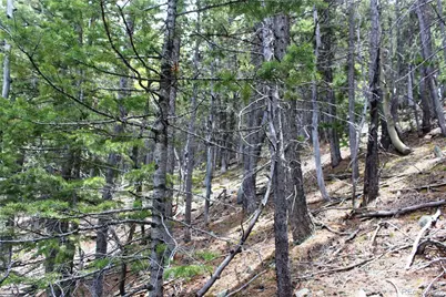 16564A Pennsylvania, Idaho Springs, CO 80461 - Photo 16