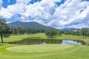 4257 Troutdale Village Dr, Evergreen, CO 80439 - Photo 46