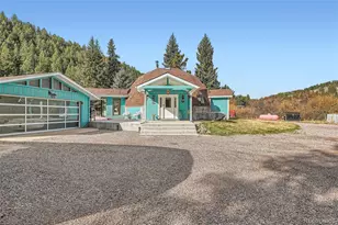 55 Iron Horse Ln, Bailey, CO 80421 - Photo 2