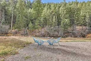 55 Iron Horse Ln, Bailey, CO 80421 - Photo 28