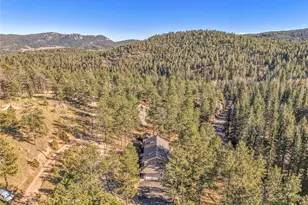 10342 Buena Vista Dr, Conifer, CO 80433 - Photo 42