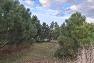 12798 Tomahawk Rd, Parker, CO 80138 - Photo 46