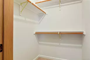 581 Longfellow Ln, Highlands Ranch, CO 80126 - Photo 18