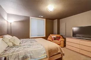 3456 Willow St, Denver, CO 80238 - Photo 34