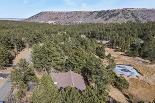 730 Tenderfoot Dr, Larkspur, CO 80118 - Photo 44