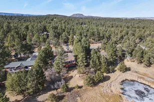 730 Tenderfoot Dr, Larkspur, CO 80118 - Photo 44