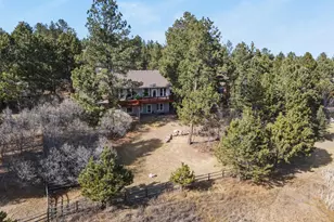 730 Tenderfoot Dr, Larkspur, CO 80118 - Photo 46