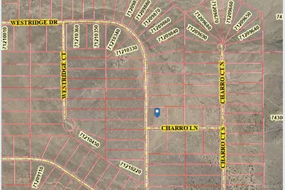 Lot 118 Charro Ln, San Luis, CO 81152 - Photo 8