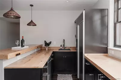 611 N Lafayette Street, Denver, CO 80218 - Photo 26