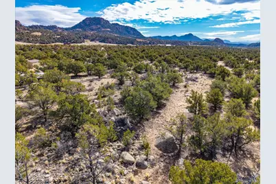 33071 County Road 371, Buena Vista, CO 81211 - Photo 18