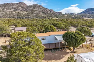 33071 Co Rd 371, Buena Vista, CO 81211 - Photo 8