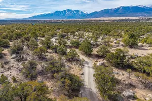 33071 Co Rd 371, Buena Vista, CO 81211 - Photo 4