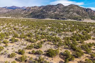 33071 Co Rd 371, Buena Vista, CO 81211 - Photo 22