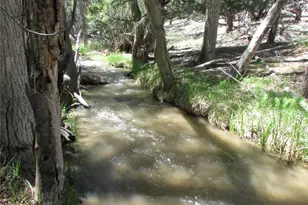 8960 Co Rd 164, Salida, CO 81201 - Photo 6