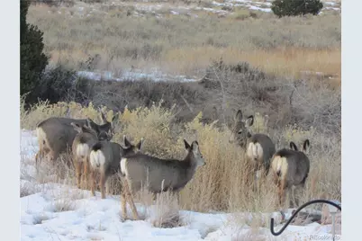 8960 County Road 164, Salida, CO 81201 - Photo 36