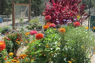 8960 Co Rd 164, Salida, CO 81201 - Photo 34