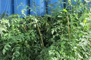 8960 Co Rd 164, Salida, CO 81201 - Photo 30