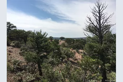 123 Scheffellin, Fort Garland, CO 81133 - Photo 18