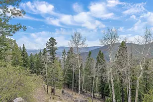 1406 Sinton Rd, Evergreen, CO 80439 - Photo 40