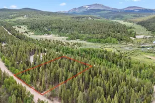 64 Skidoo Rd, Fairplay, CO 80440 - Photo 2