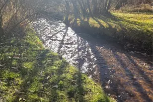 8225 W US Hwy 24, Cascade, CO 80809 - Photo 48