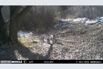 8225 W US Highway 24, Cascade, CO 80809 - Photo 44