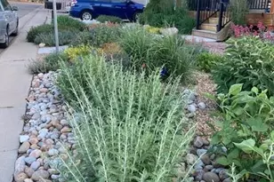 1621 Salvia St, Golden, CO 80226 - Photo 34