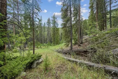 002 Fall River Road, Idaho Springs, CO 80452 - Photo 14