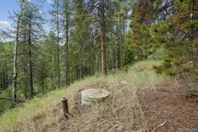 002 Fall River Road, Idaho Springs, CO 80452 - Photo 8