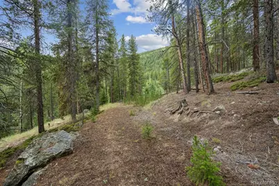 002 Fall River Road, Idaho Springs, CO 80452 - Photo 6