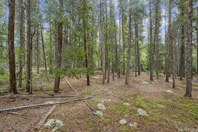 002 Fall River Road, Idaho Springs, CO 80452 - Photo 12