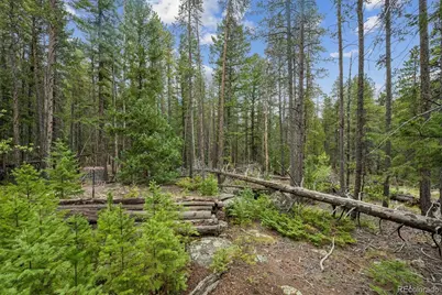002 Fall River Road, Idaho Springs, CO 80452 - Photo 10