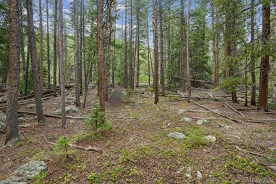 002 Fall River Road, Idaho Springs, CO 80452 - Photo 24