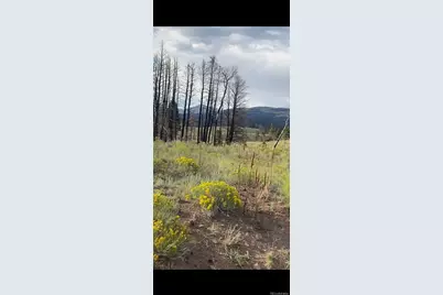 768 Shepard Place, Fort Garland, CO 81133 - Photo 1