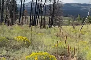 768 Shepard Pl, Fort Garland, CO 81133 - Photo 1