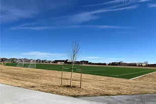 762 Willow Oak St., Brighton, CO 80601 - Photo 46