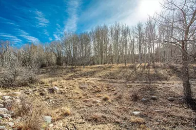 17573 Trout Circle, Buena Vista, CO 81211 - Photo 8