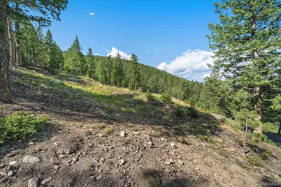 33844 Bergen View Trail, Evergreen, CO 80439 - Photo 38