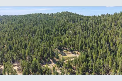 33844 Bergen View Trail, Evergreen, CO 80439 - Photo 36