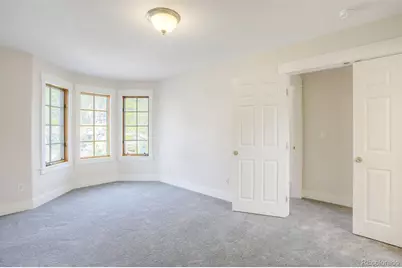 372 N Oak Street, Alma, CO 80420 - Photo 20