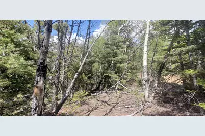 Lot 5610 Dawson Road, Fort Garland, CO 81133 - Photo 2