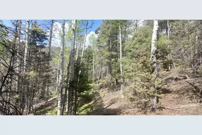 Lot 5610 Dawson Road, Fort Garland, CO 81133 - Photo 12