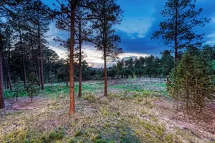 16152 Timber Meadow Dr, Colorado Springs, CO 80908 - Photo 40
