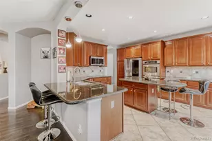 5341 Windflower Ln, Highlands Ranch, CO 80130 - Photo 10