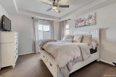 3793 Cadence Drive, Castle Rock, CO 80109 - Photo 26