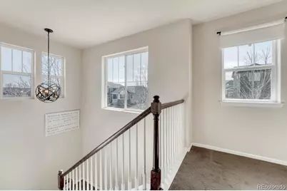 3793 Cadence Drive, Castle Rock, CO 80109 - Photo 22