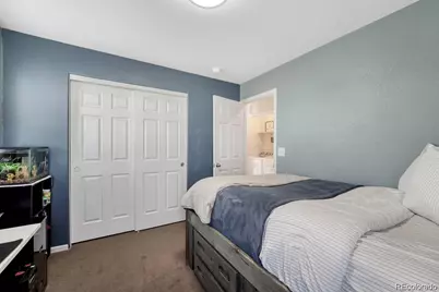 3793 Cadence Drive, Castle Rock, CO 80109 - Photo 30